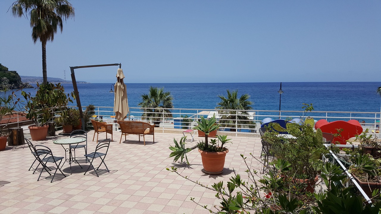 Photo of Others in Scilla