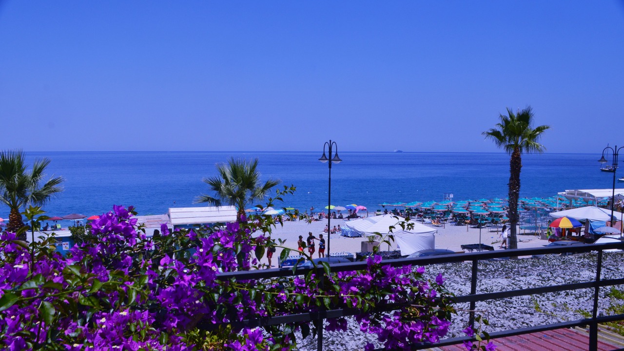Photo of Others in Scilla