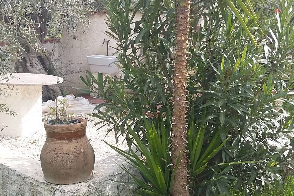 Photo of Others in Sciacca