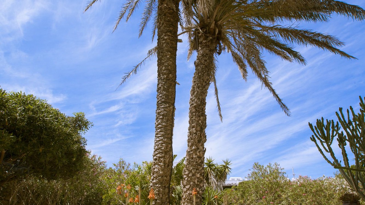 Photo of Outdoor in Favignana