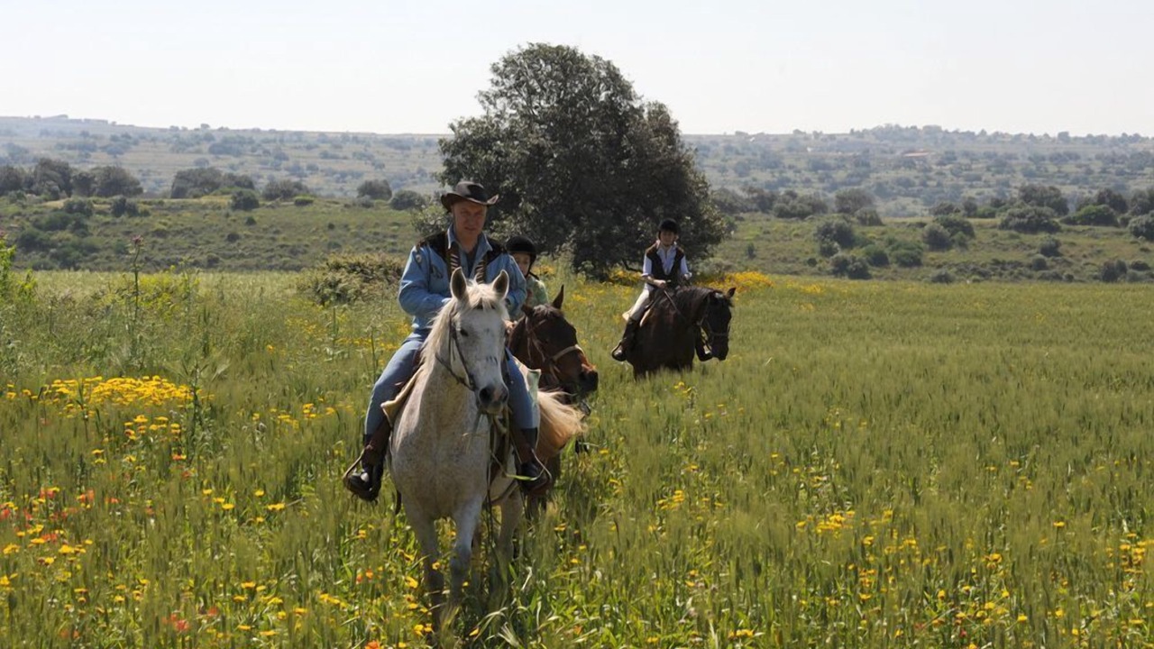 Photo of Outdoor in Ragusa
