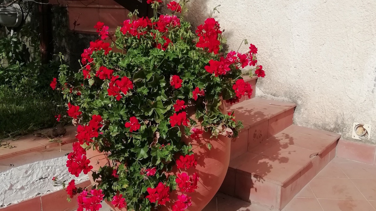 Photo of Outdoor in Mascalucia