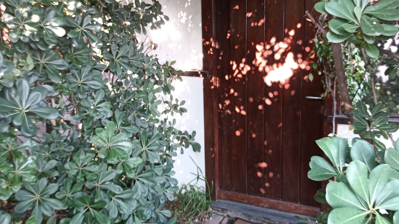 Photo of Outdoor in Mascalucia
