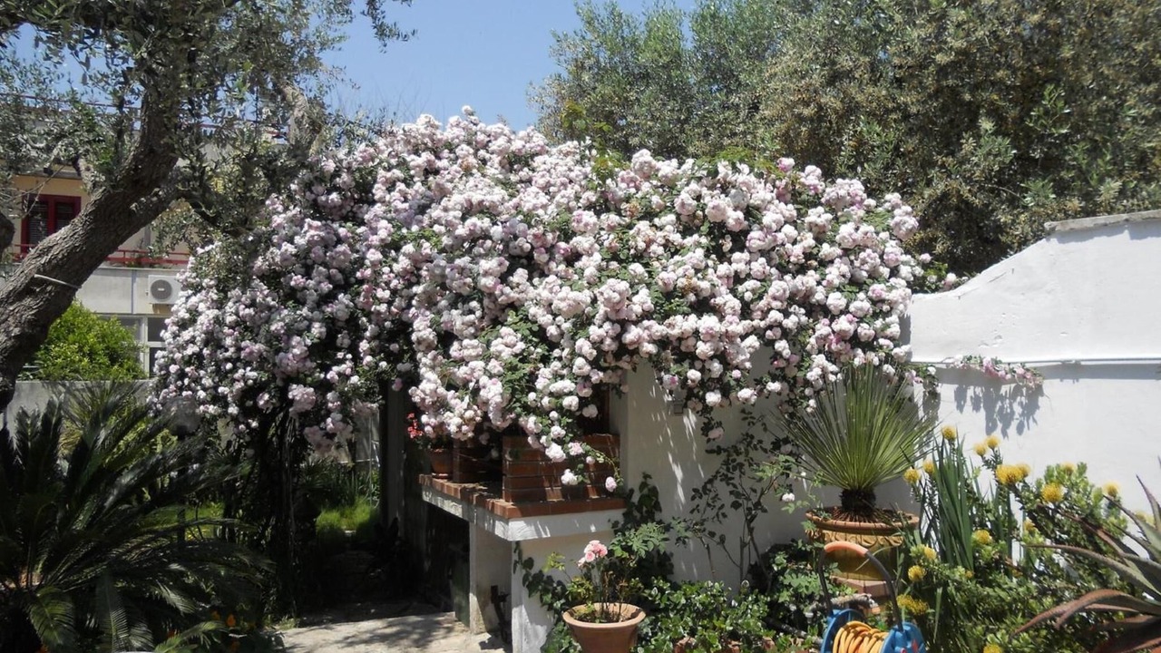 Photo of Outdoor in Castro Marina