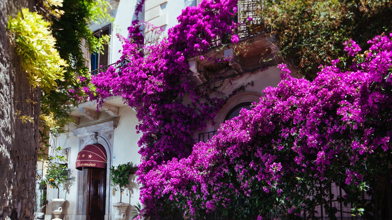Photo of Outdoor in Taormina City Centre