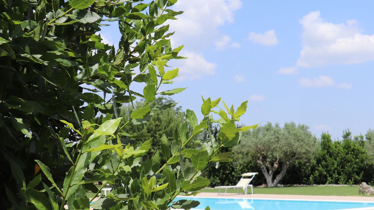 Photo of Outdoor in Noto