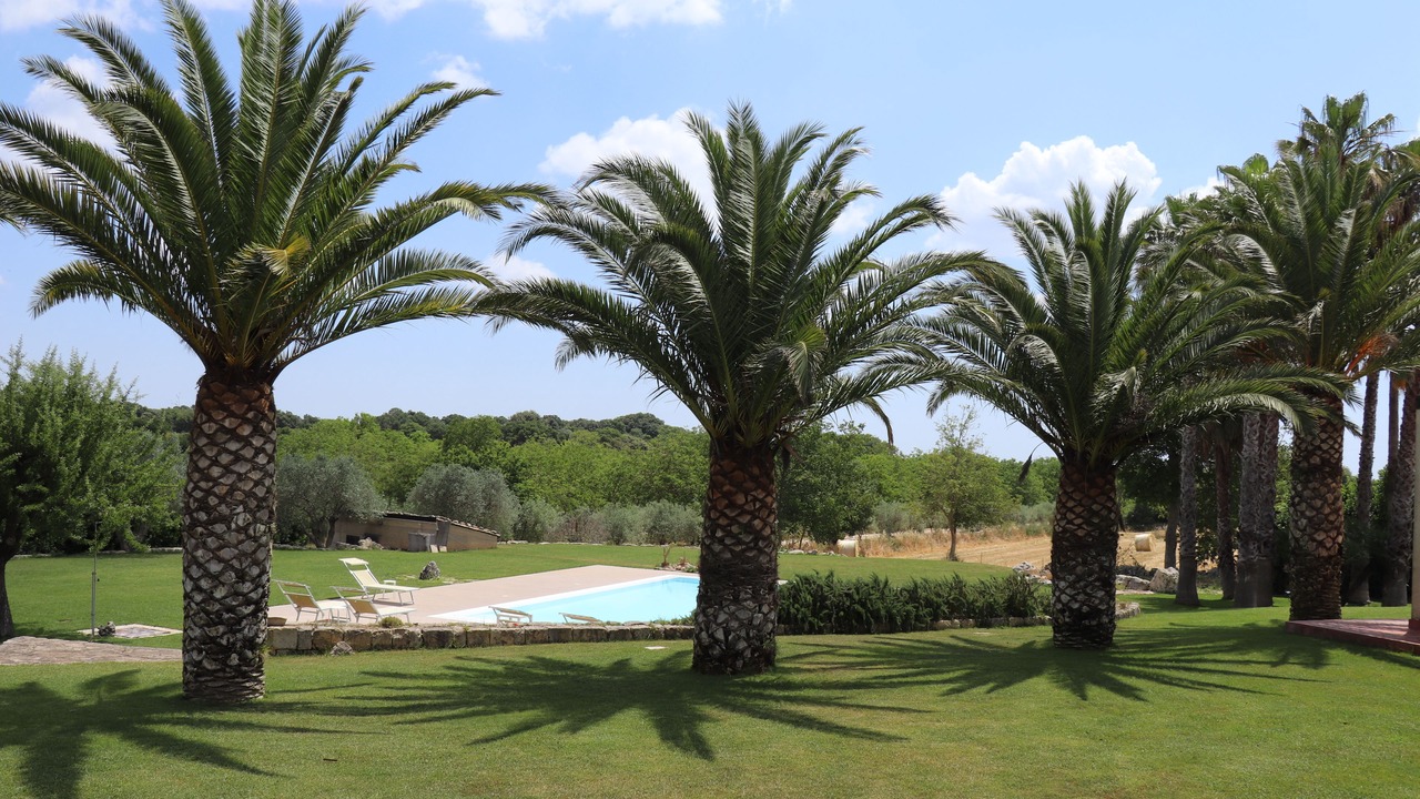 Photo of Outdoor in Noto