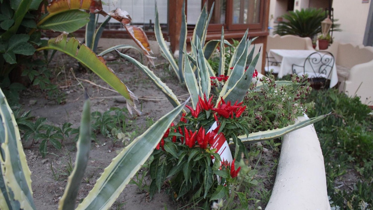 Photo of Outdoor in Lipari Historic Centre