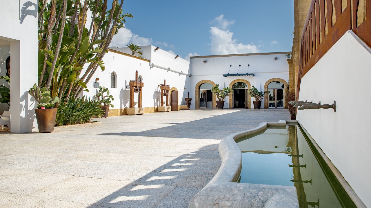 Photo of Others in Marsala