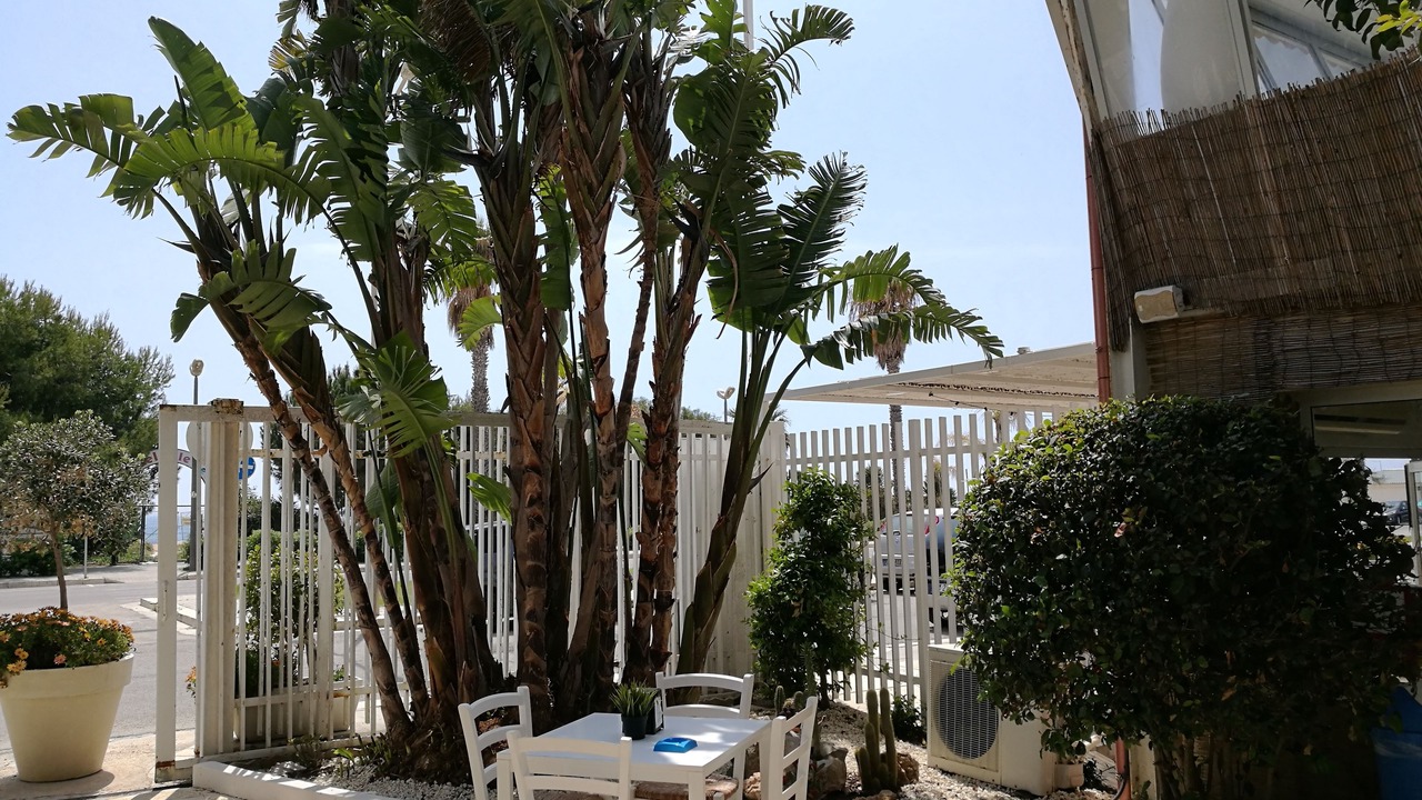 Photo of Outdoor in Marina di Ragusa