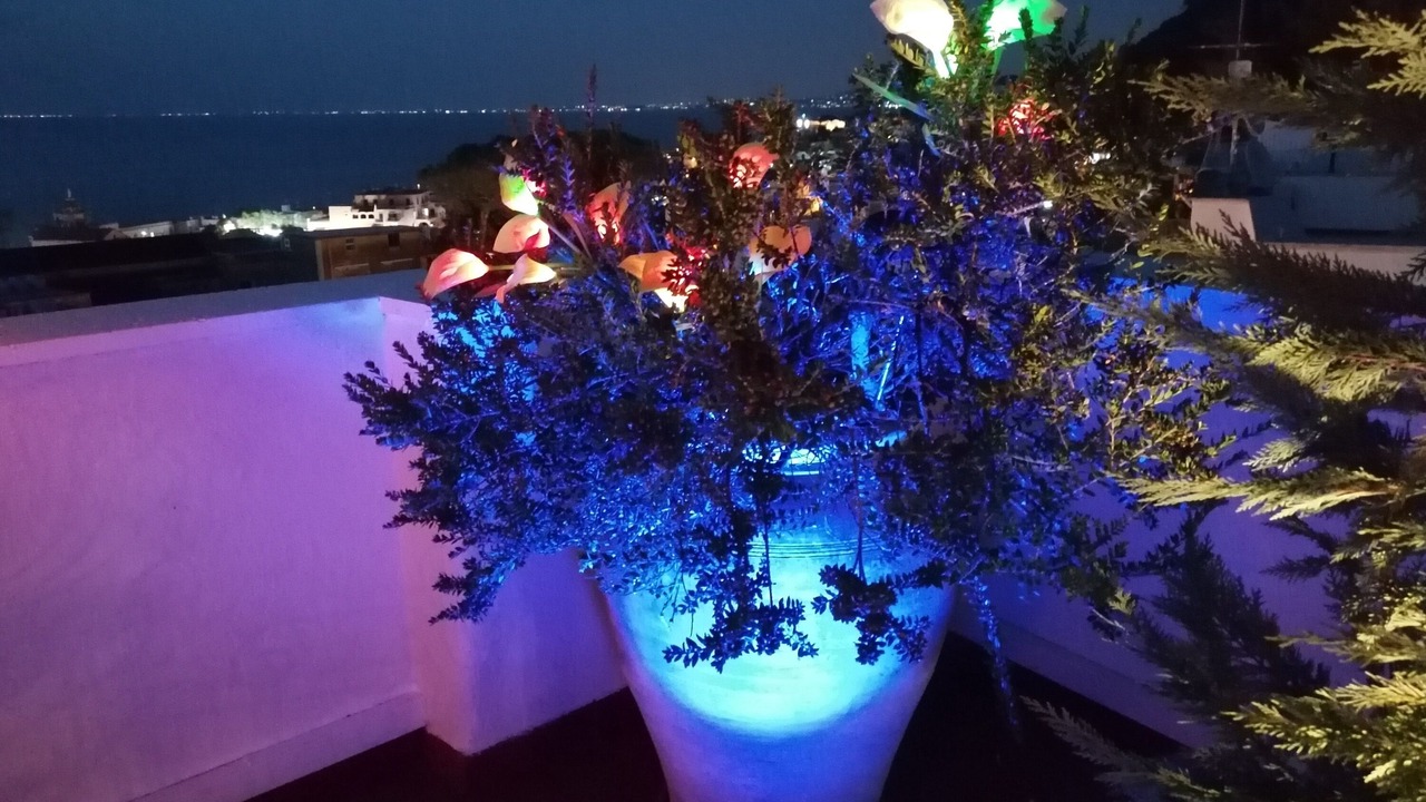 Photo of Patio Balcony in Casamicciola Terme