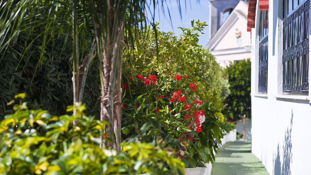 Photo of Outdoor in Casamicciola Terme