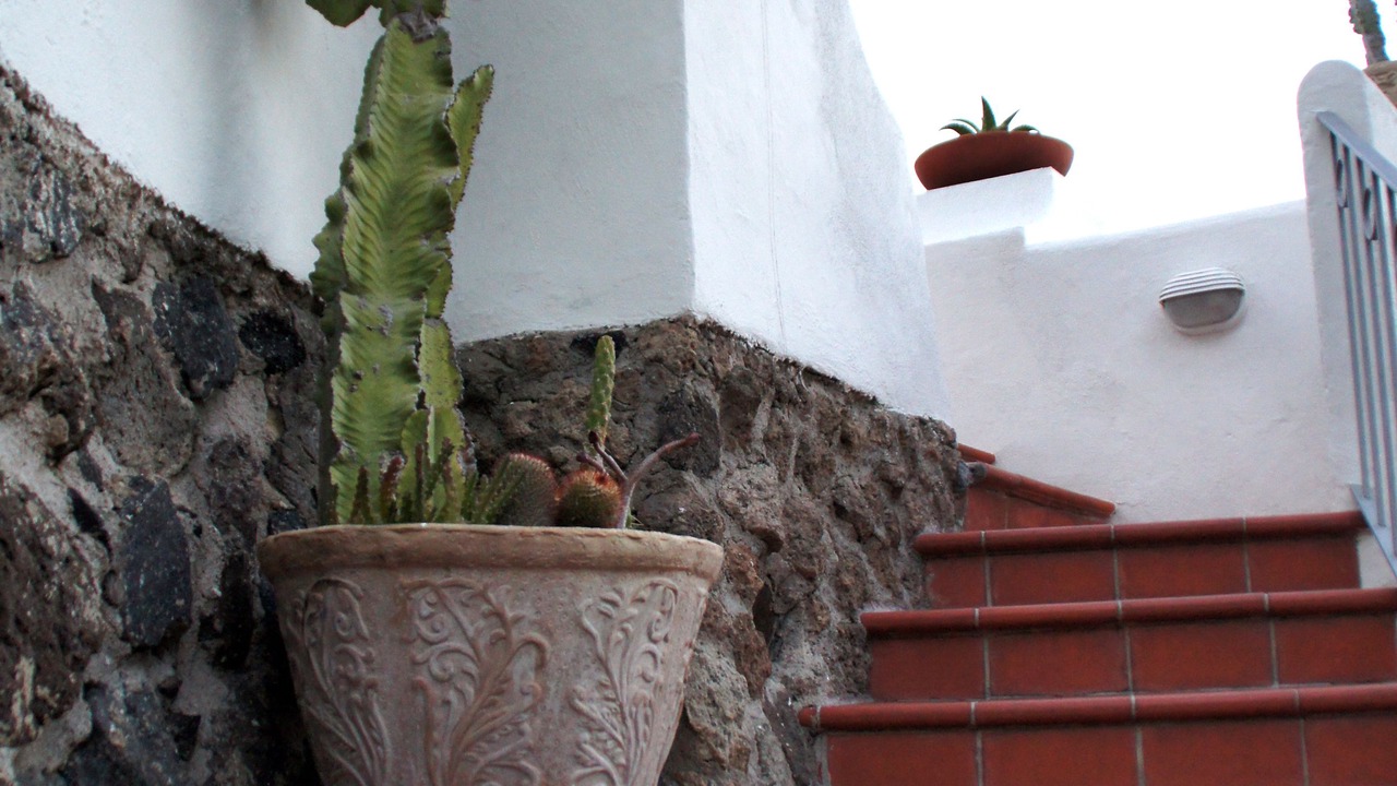 Photo of Outdoor in Ischia Porto