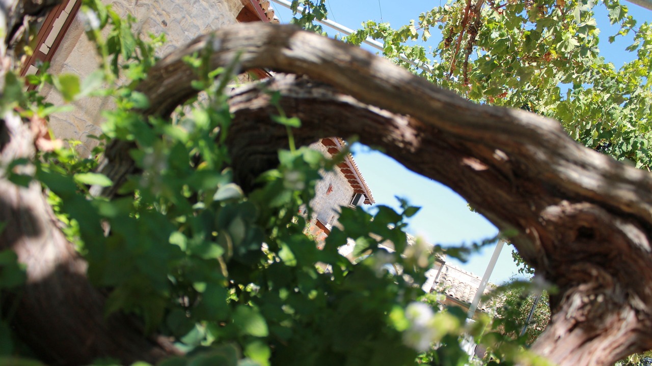 Photo of Outdoor in Casa Papa
