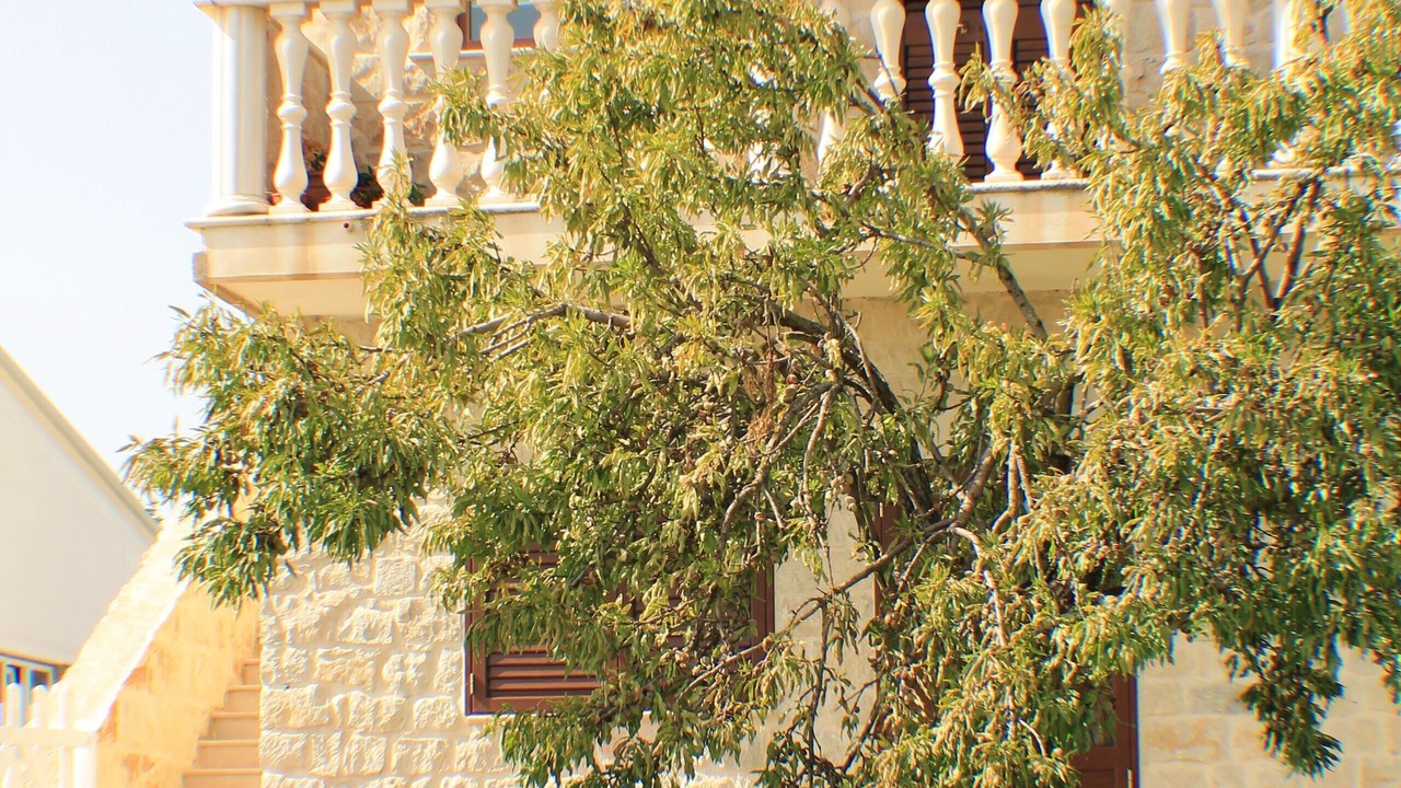 Photo of Outdoor in Casa Papa