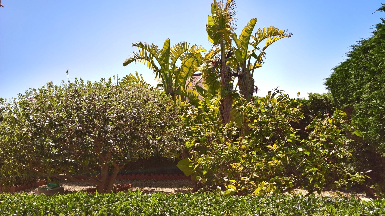 Photo of Outdoor in Granelli