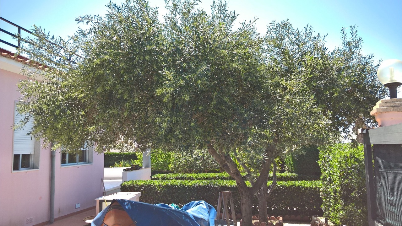 Photo of Outdoor in Granelli