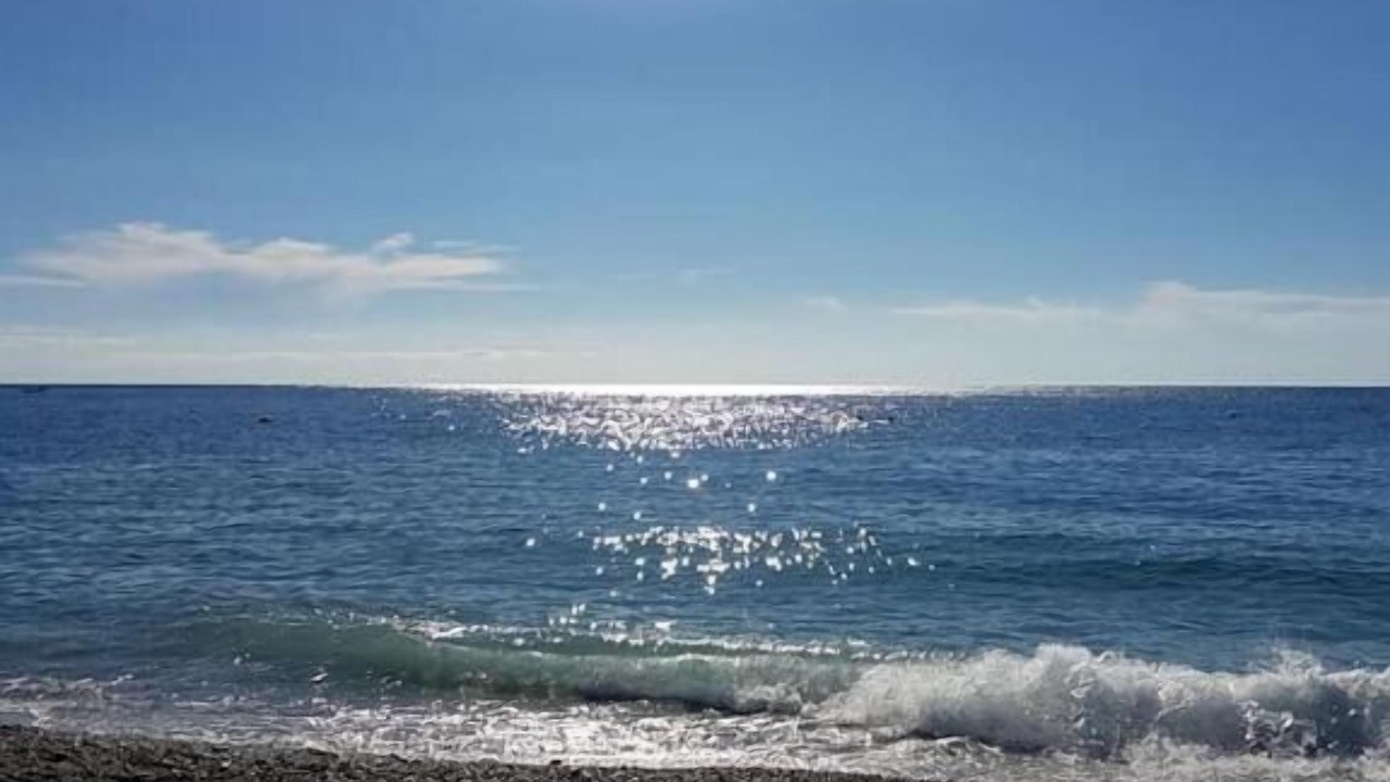 Photo of Others in Porto Salvo
