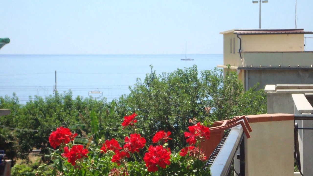 Photo of Others in Porto Salvo