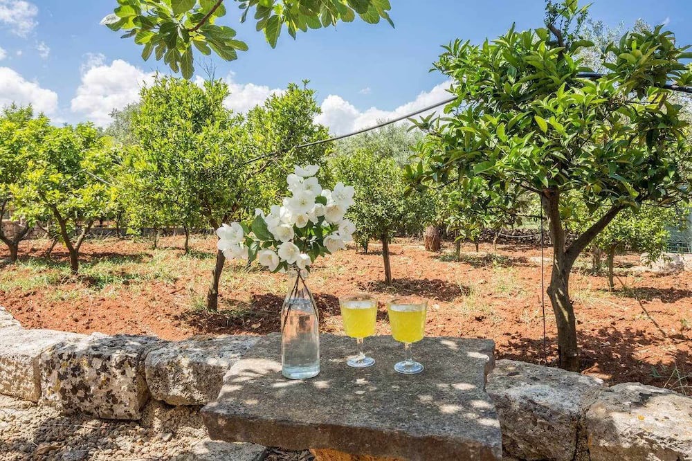 Photo of Outdoor in Castelluzzo