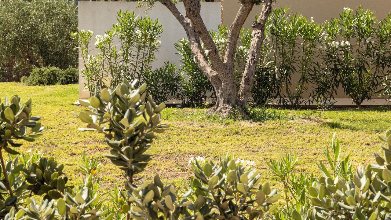 Photo of Outdoor in Noto
