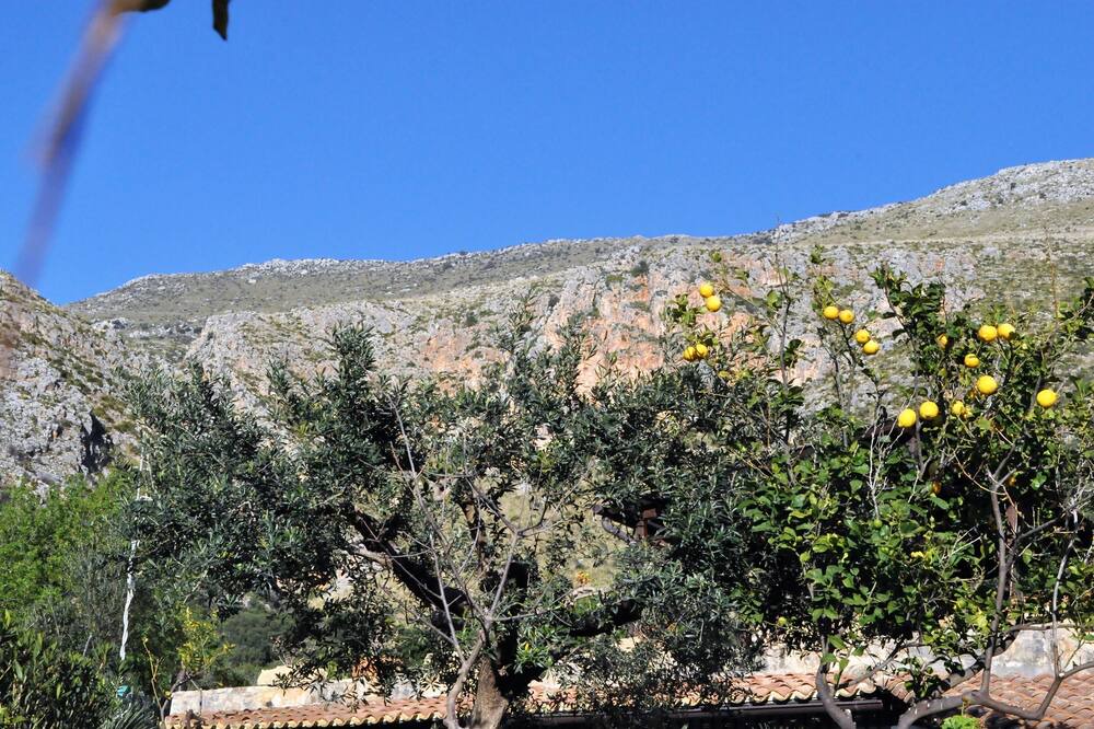 Photo of Outdoor in Castelluzzo