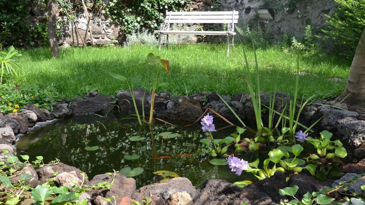 Photo of Outdoor in Viagrande