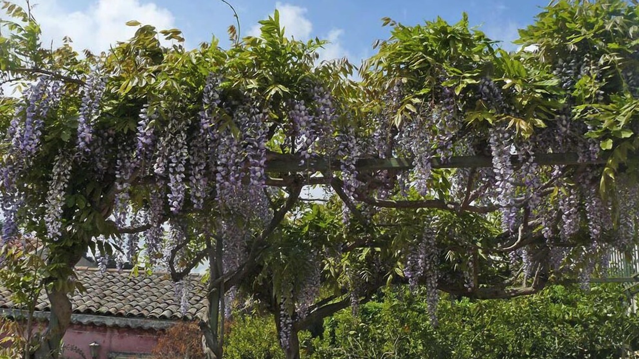 Photo of Outdoor in Viagrande