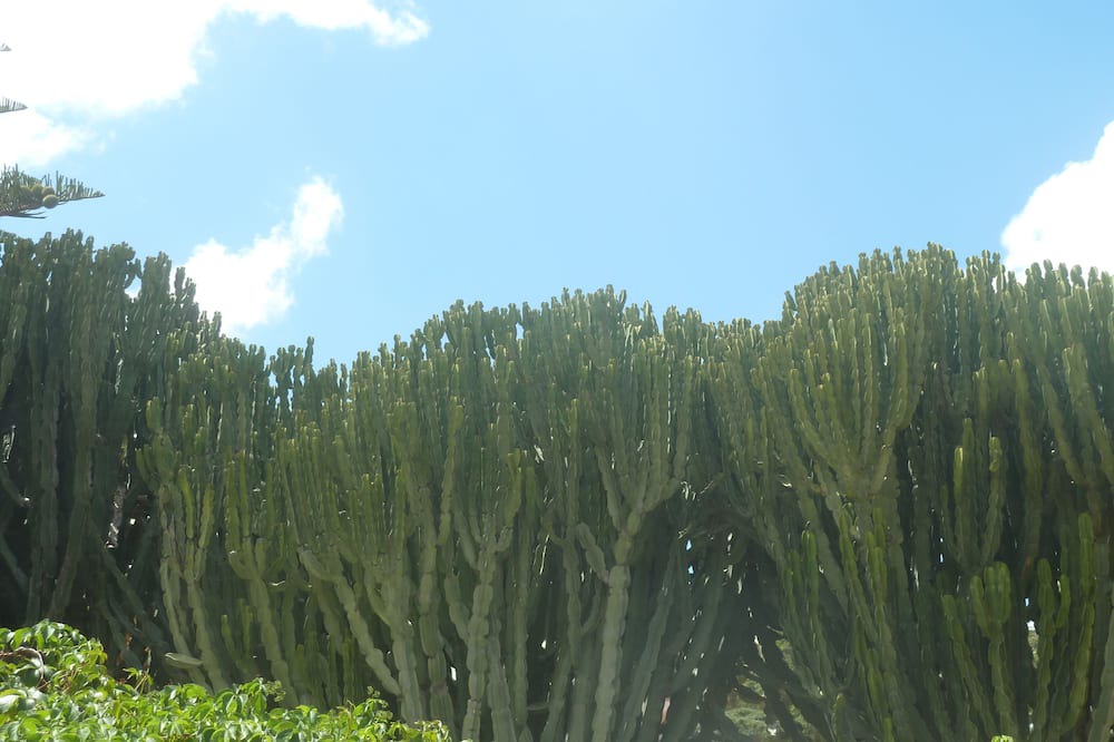 Photo of Outdoor in Piane Vecchie