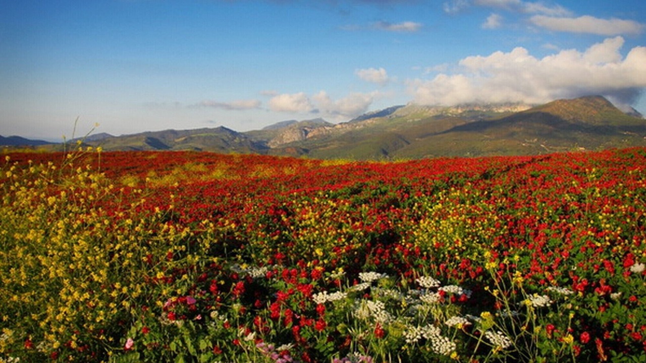 Photo of Outdoor in Piana Calzata