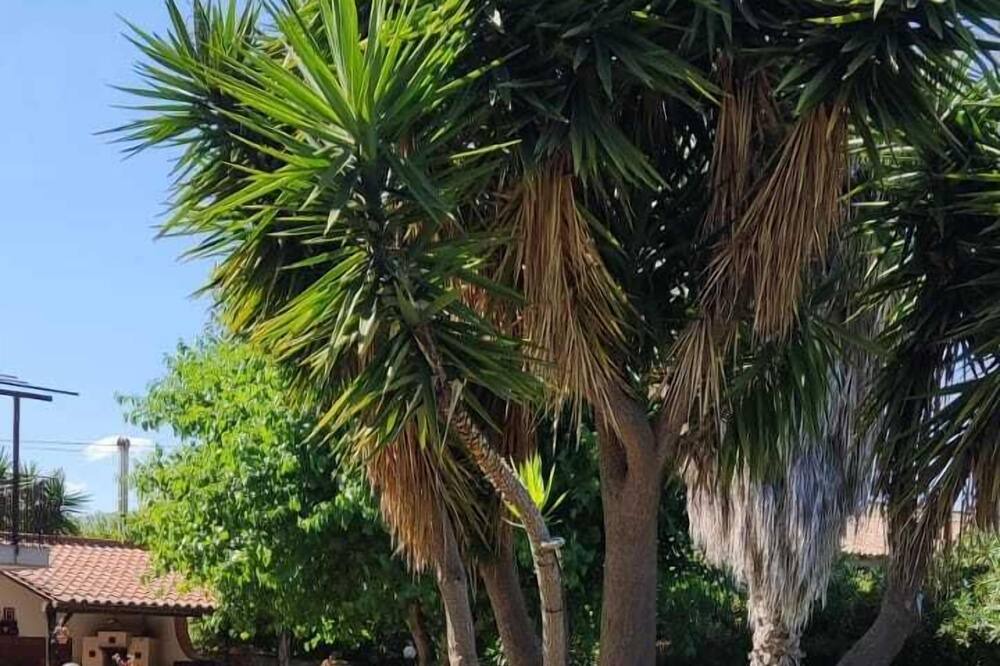 Photo of Outdoor in Fiumefreddo di Sicilia