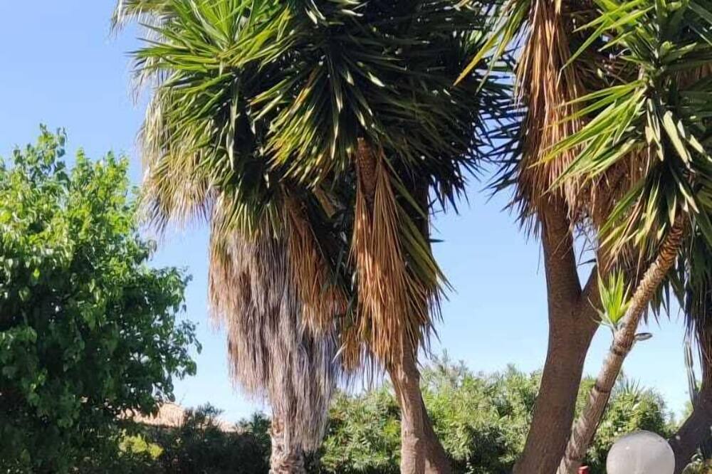 Photo of Outdoor in Fiumefreddo di Sicilia