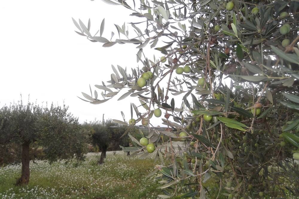 Photo of Outdoor in Siculiana