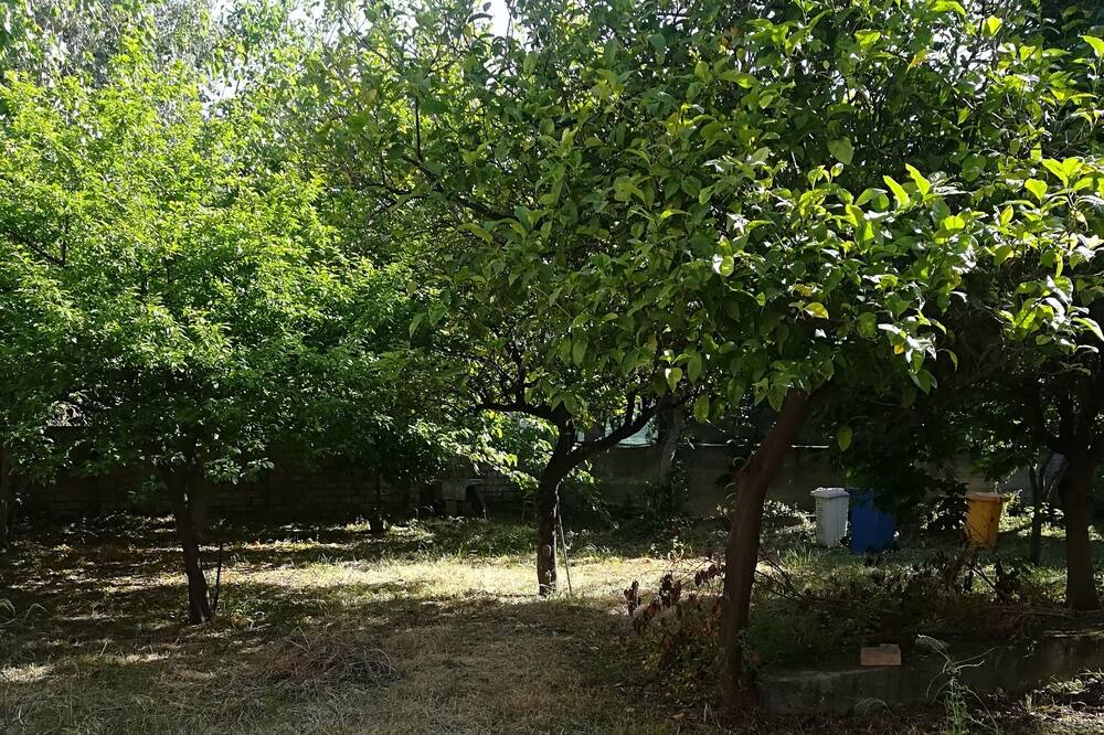 Photo of Outdoor in Porto Salvo