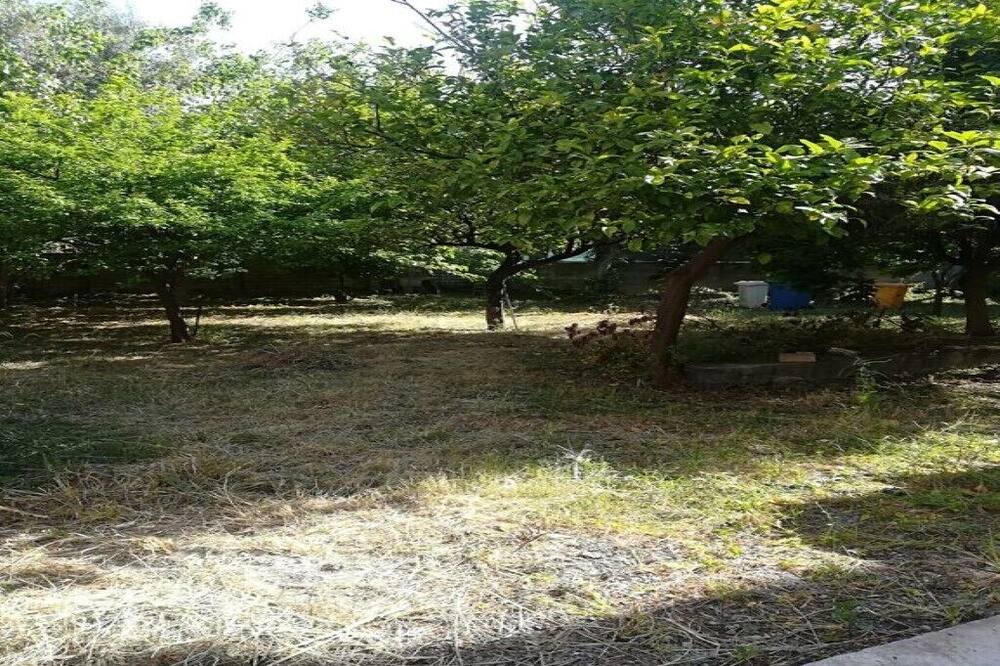 Photo of Outdoor in Porto Salvo