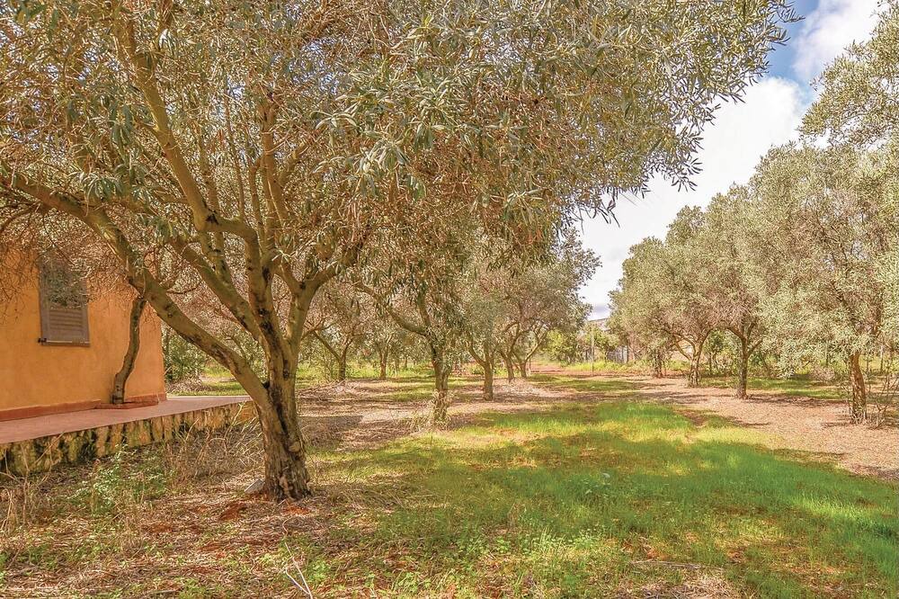 Photo of Outdoor in Campobello di Mazara