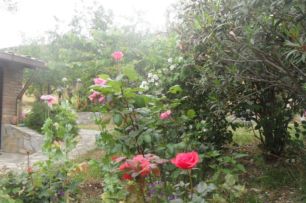Photo of Outdoor in Reggio Calabria
