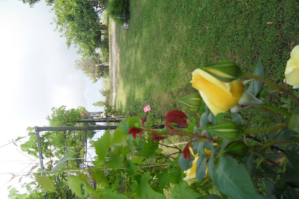 Photo of Outdoor in Reggio Calabria