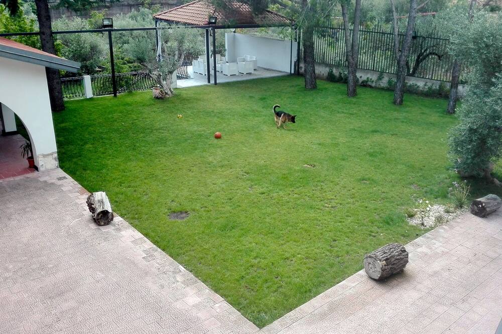 Photo of Outdoor in Mascalucia
