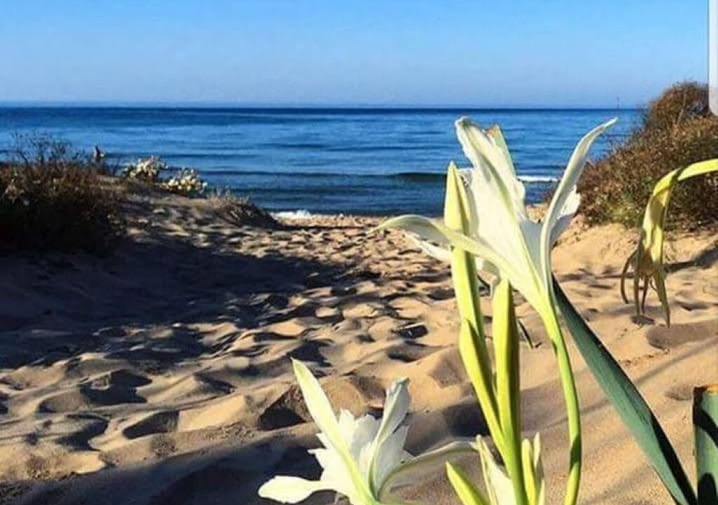 Photo of Outdoor in Anastasi III
