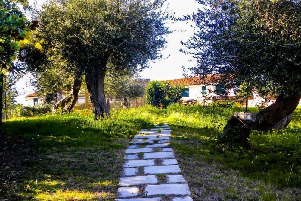 Photo of Outdoor in Mazzaforno