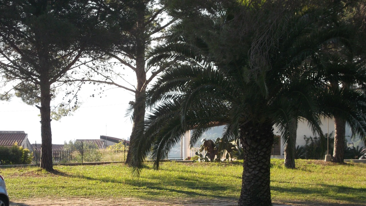 Photo of Outdoor in Santa Maria