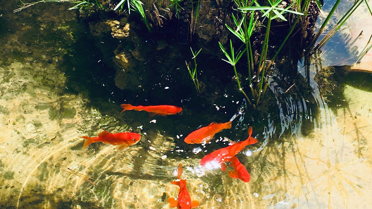 Photo of Outdoor in Santa Flavia