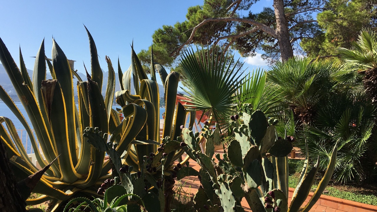 Photo of Outdoor in Santa Flavia