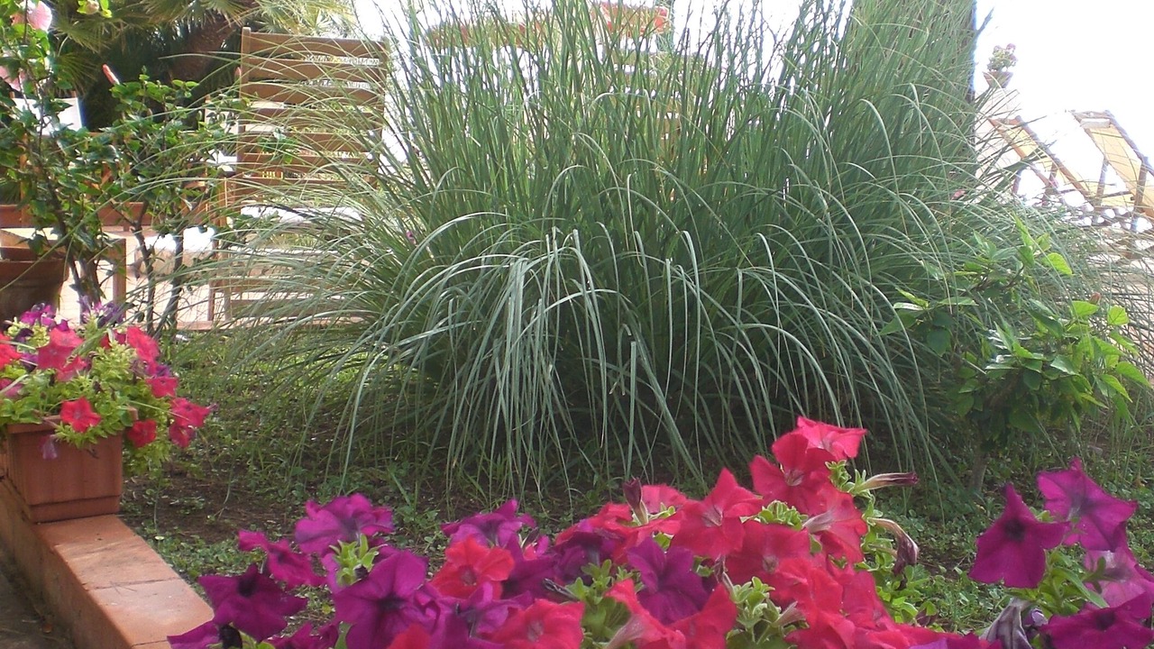 Photo of Outdoor in Santa Flavia