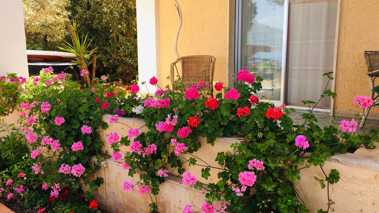 Photo of Outdoor in Santa Flavia