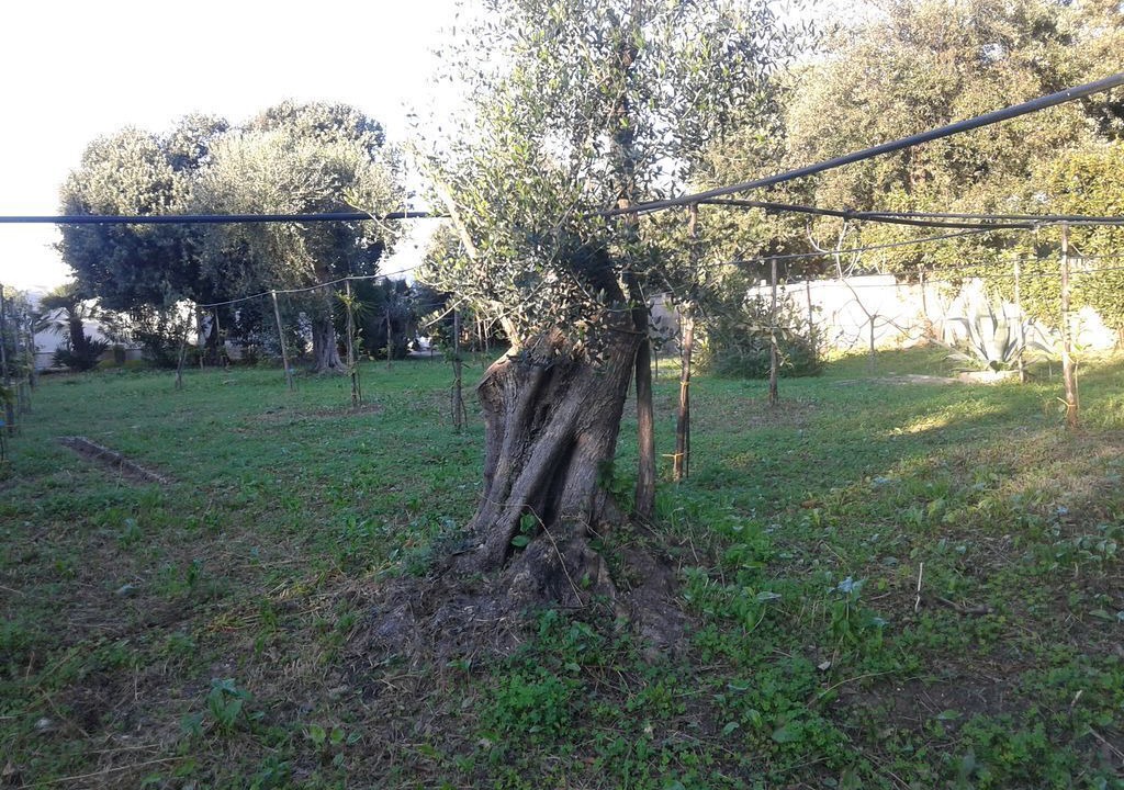 Photo of Others in Lido del Sole