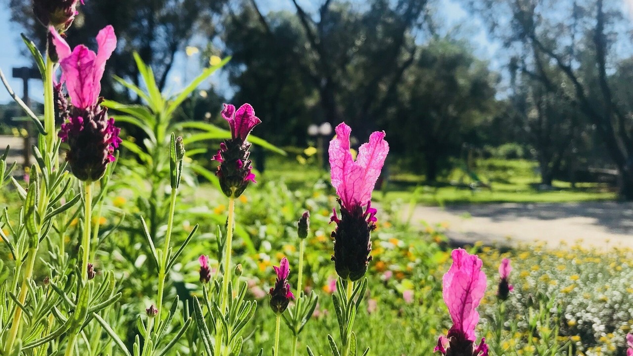 Photo of Outdoor in Bagnara Calabra