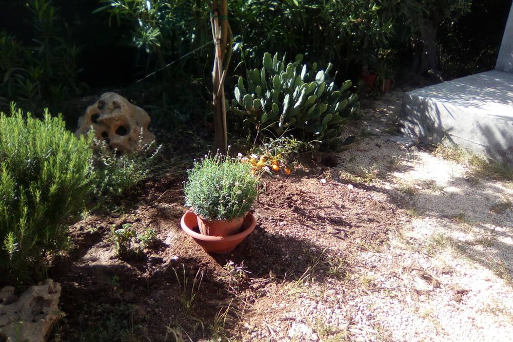 Photo of Outdoor in Noto