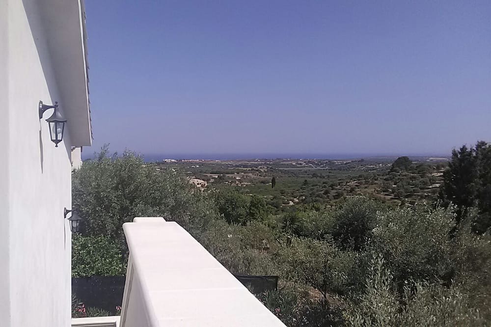 Photo of Others in Noto